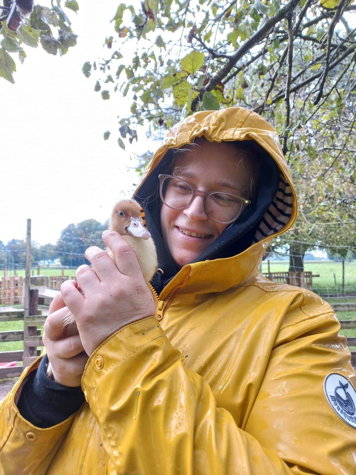 Eine Person in gelbem Regenmantel hält ein Gänseküken in beiden Händen.